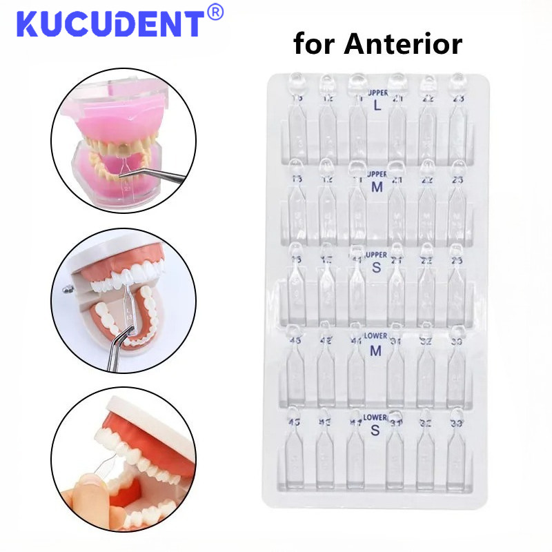 30pcs/Set Dental Veneer Mould  - Teeth Whitening Moulds 评论和价格