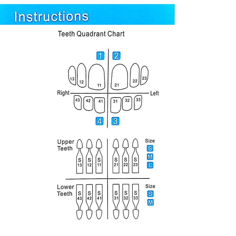Autoclavable Dental Veneer Mou - Teeth Whitening Moulds 评论和价格